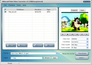 Nidesoft Palm Video Converter screenshot